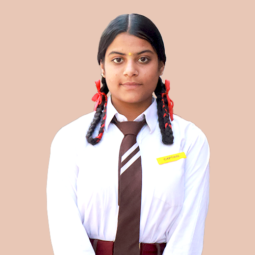 Yellow House Captain
